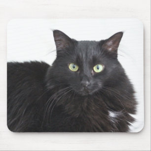 Alfombrilla De Ratón Buda de gato negro