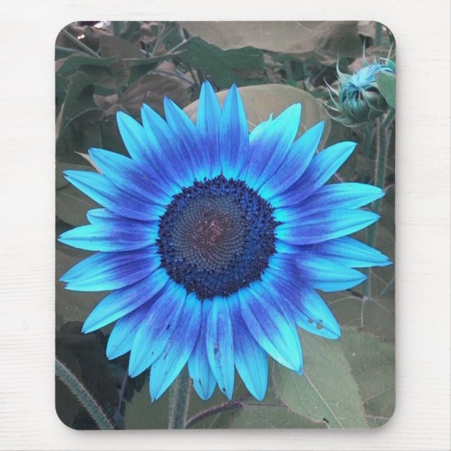 Alfombrilla De Ratón Buda de girasol azul (Frente)