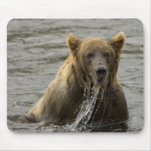 Alfombrilla De Ratón Buda de pesca de oso marrón