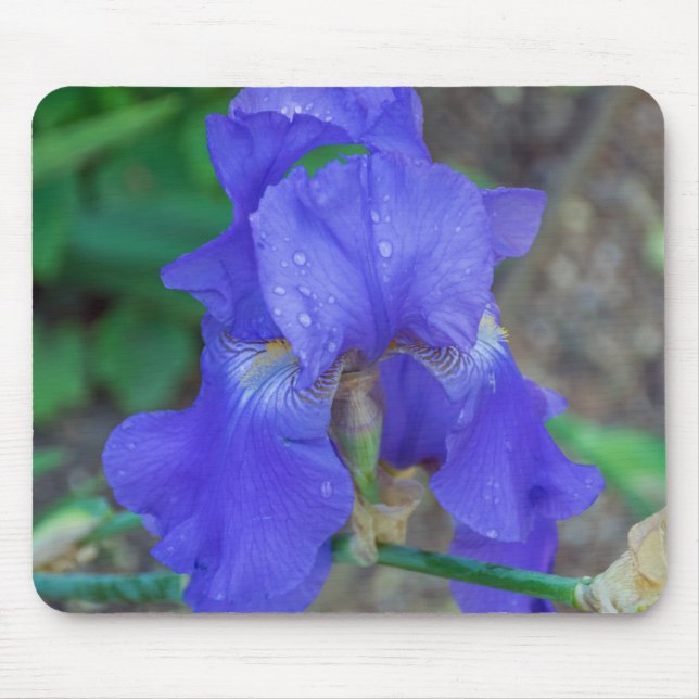 Alfombrilla De Ratón Buda iris azul (Frente)