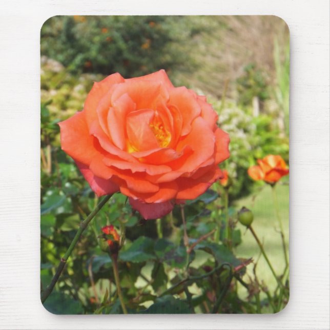 Alfombrilla De Ratón Buda rosa rojo (Frente)