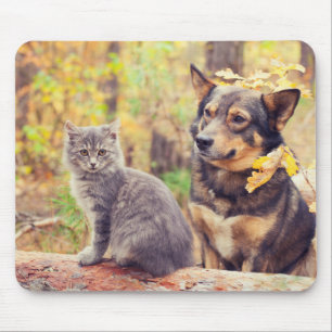 Alfombrilla De Ratón Buddies de otoño: Gray Kitten y Happy Puppy