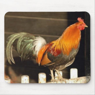 Alfombrilla De Ratón Buenos días