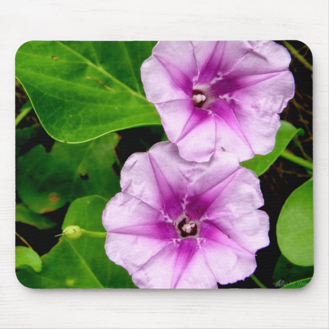 Alfombrilla De Ratón Buenos días Flores de Gloria Mousepad (Frente)