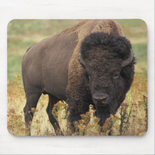 Alfombrilla De Ratón Búfalo