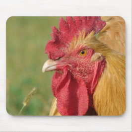 Alfombrilla De Ratón Buff Rooster