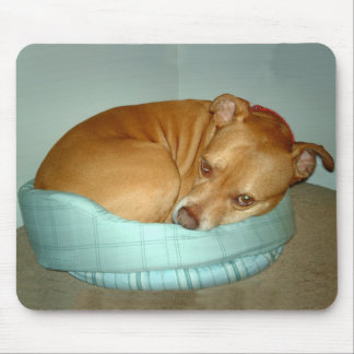 Alfombrilla De Ratón Bugsy