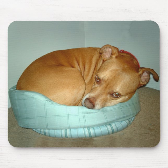 Alfombrilla De Ratón Bugsy (Frente)