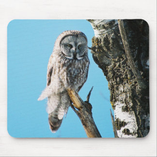 Alfombrilla De Ratón Búho de gran gris Mousepad