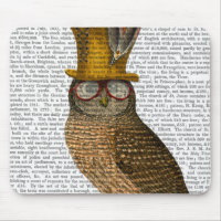Búho en libros