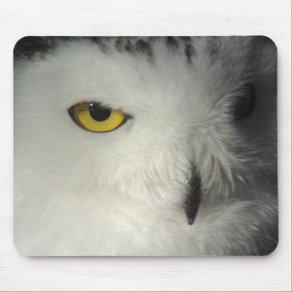 Alfombrilla De Ratón Búho Mousepad Nevado