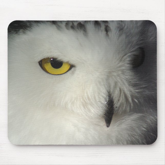 Alfombrilla De Ratón Búho Mousepad Nevado (Frente)