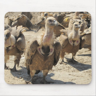 Alfombrilla De Ratón Buitre de Griffon