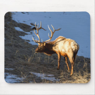 Alfombrilla De Ratón Bull Elk