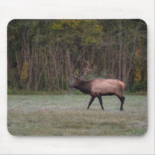 Alfombrilla De Ratón Bull Elk Morning Walk