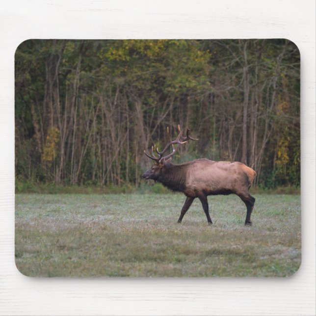 Alfombrilla De Ratón Bull Elk Morning Walk (Frente)
