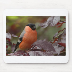 Alfombrilla De Ratón Bull Finch