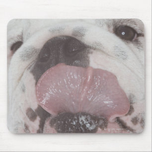 Alfombrilla De Ratón Bulldog 2