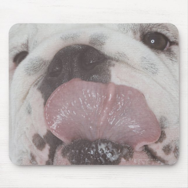 ALFOMBRILLA DE RATÓN BULLDOG 2 (Frente)