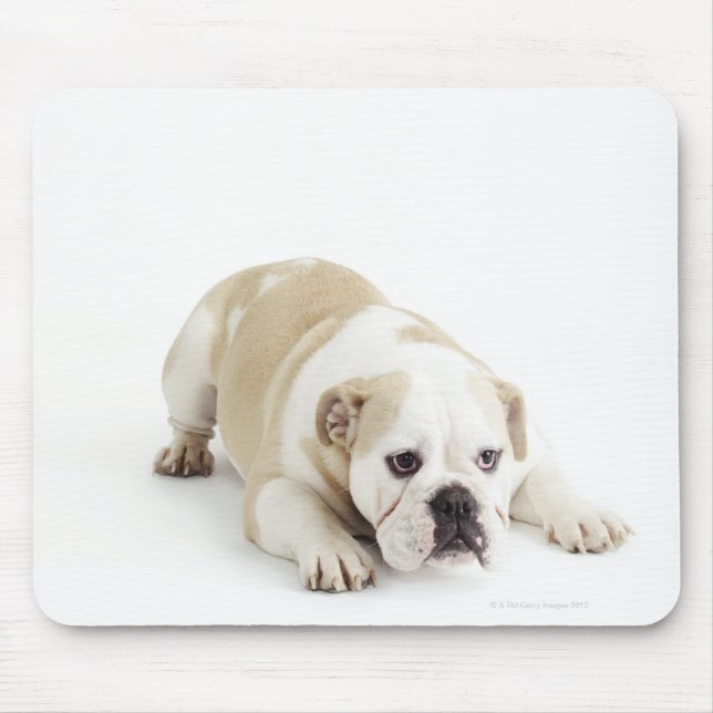 Alfombrilla De Ratón Bulldog blanco y marrón (Frente)
