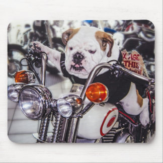 Alfombrilla De Ratón Bulldog en la motocicleta