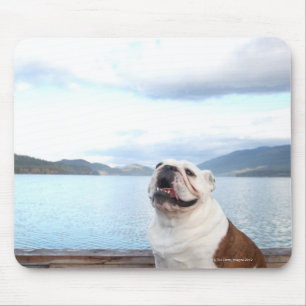 Alfombrilla De Ratón bulldog feliz que se sienta en cubierta cerca del