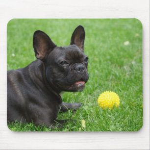 Alfombrilla De Ratón Bulldog francés