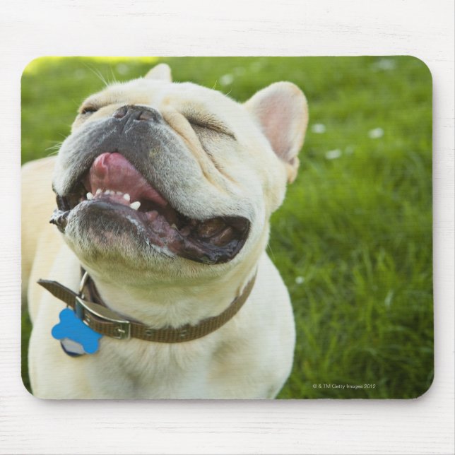 Alfombrilla De Ratón Bulldog francés (Frente)