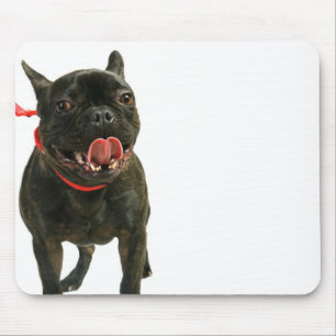 Alfombrilla De Ratón Bulldog francés