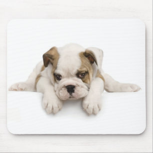 Alfombrilla De Ratón Bulldog inglés
