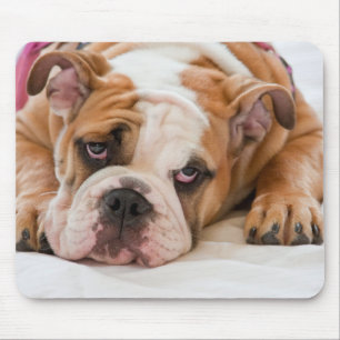 Alfombrilla De Ratón Bulldog inglés