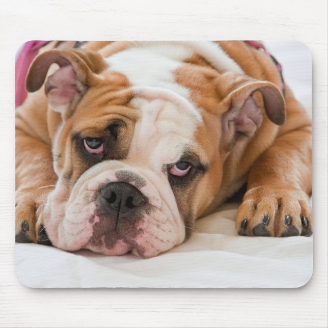 Alfombrilla De Ratón Bulldog inglés (Frente)