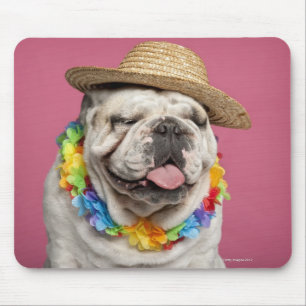 Alfombrilla De Ratón Bulldog inglés (18 meses) que lleva una paja
