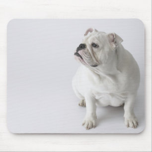 Alfombrilla De Ratón Bulldog inglés blanco