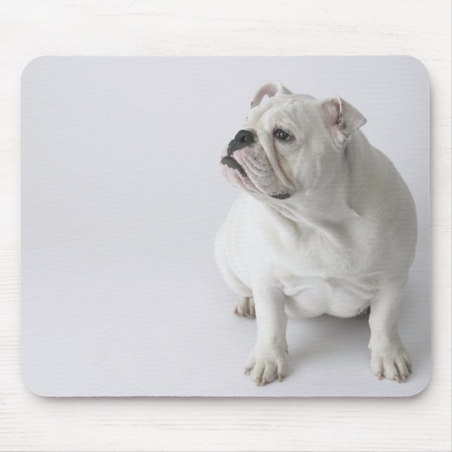 Alfombrilla De Ratón Bulldog inglés blanco (Frente)
