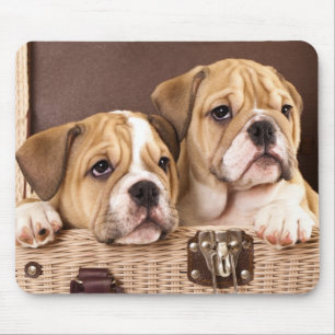 Alfombrilla De Ratón Bulldog inglés cachorra Mousepad