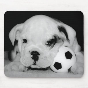 Alfombrilla De Ratón "Bulldog inglés del perrito del fútbol"