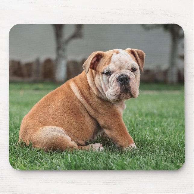 Alfombrilla De Ratón bulldog inglés, perro, dulce (Frente)