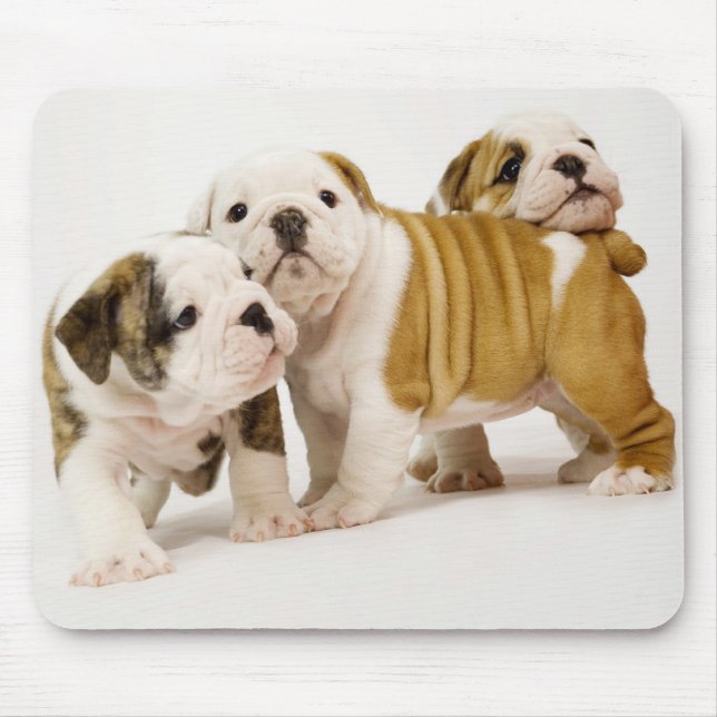 Alfombrilla De Ratón Bulldoges ingleses cortos perros con cachorros jug (Frente)