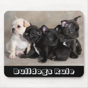 Alfombrilla De Ratón Bulldogs Adorables Regentan Almohadillas Para Rató