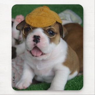 Alfombrilla De Ratón BullyBreeze - frialdad - Chillin hacia fuera -