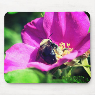 Alfombrilla De Ratón Bumble Bee En Flor Rosa