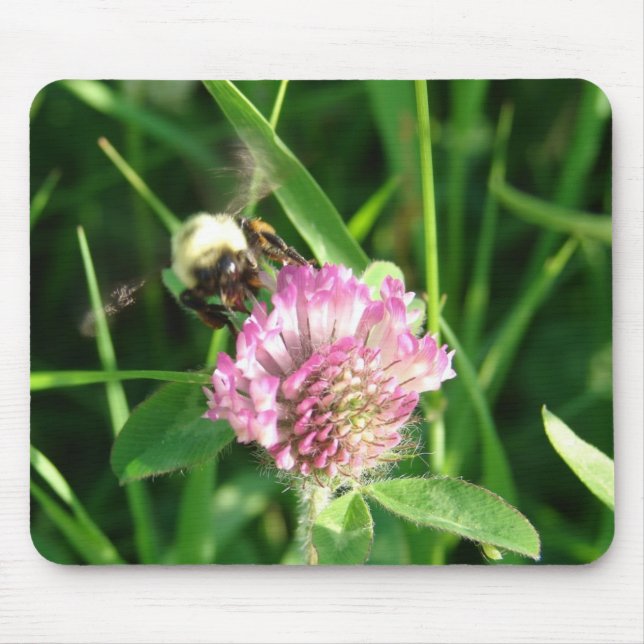 Alfombrilla De Ratón Bumble Bee en Red Clover (Frente)