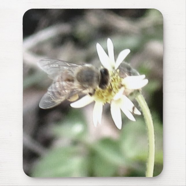 Alfombrilla De Ratón Bumble Bee Mousepad (Frente)