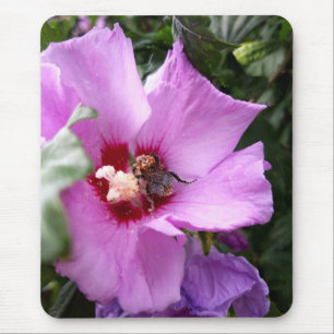 Alfombrilla De Ratón Bumblebee en la flor de Hibiscus