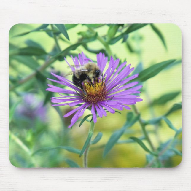Alfombrilla De Ratón Bumblebee en Purple Daisy (Frente)