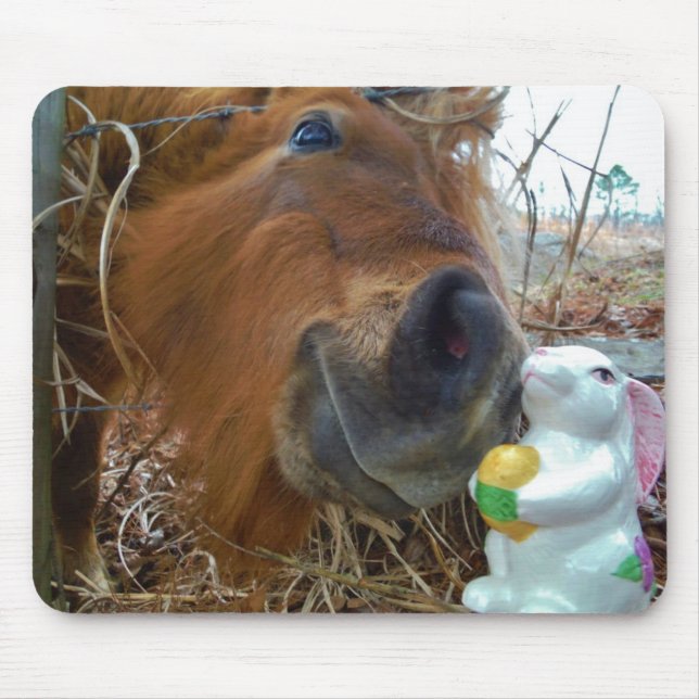 Alfombrilla De Ratón Bunny de Pascua y caballo marrón (Frente)