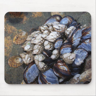 Alfombrilla De Ratón Buñuelos y mejillones