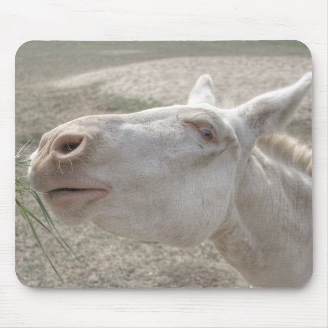 Alfombrilla De Ratón Burro blanco austriaco-húngaro (Frente)