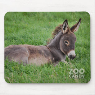 Alfombrilla De Ratón Burro en la hierba